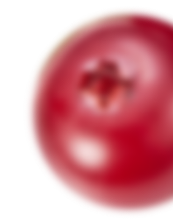 buah cranberry