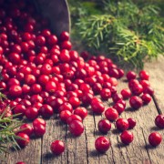 Nikmati Manfaat dan Enaknya Cranberry Selain Dijadikan Jus